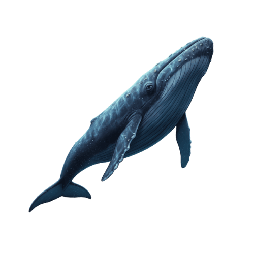 Based Whale